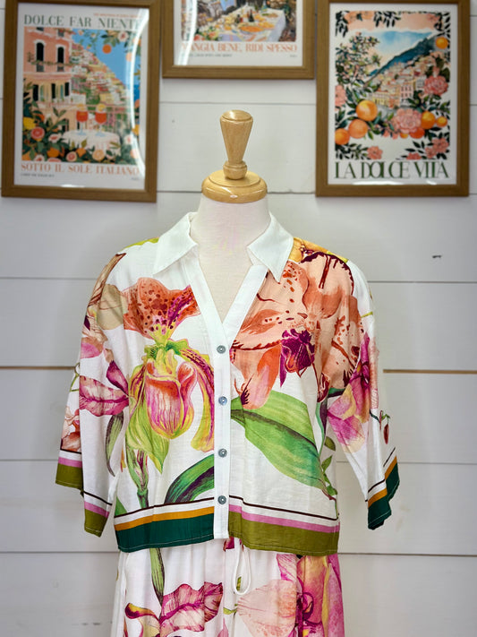 MULTI TOP